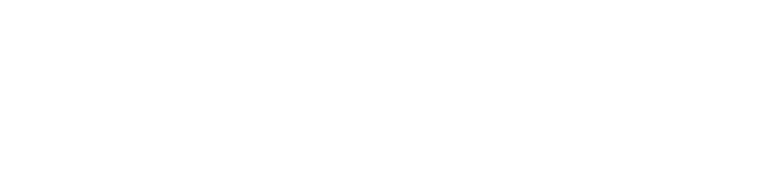 theFMU | Türkiye